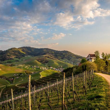 Solarzellen mit integriertem Energiespeicher